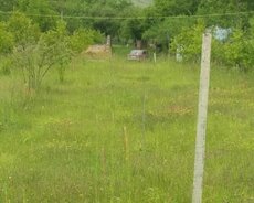 İsmayıllı, Torpag satilr