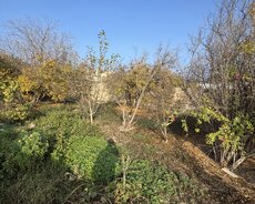 Xəzər r., Buzovna q.