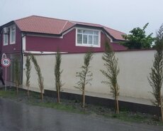 Şəki, Seki rayonu Kiraye ev