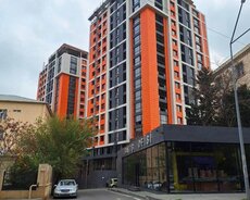 Yasamal r., Elmlər Akademiyası m.