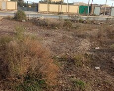 Suraxanı r., Hövsan q.