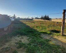 Abşeron r., Novxanı q.