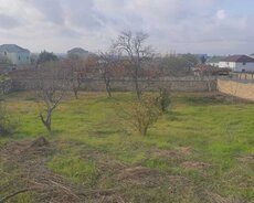 Abşeron r., Saray q.