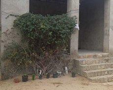 Sabunçu r., Nardaran q.