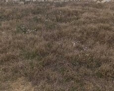 Sabunçu r., Nardaran q.