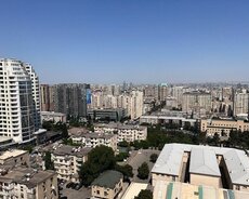 Yasamal r., Elmlər Akademiyası m.