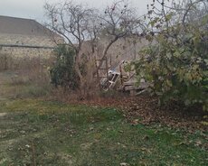 Sabunçu r., Maştağa q.