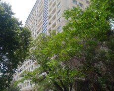 Nərimanov r., Gənclik m.