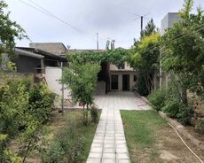 Xəzər r., Buzovna q.