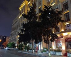 Nərimanov r., Nəriman Nərimanov m.