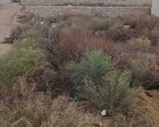 Sabunçu r., Maştağa q.