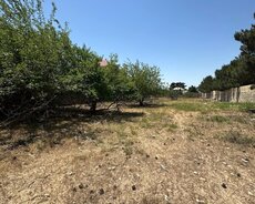 Sabunçu r., Bilgəh q.