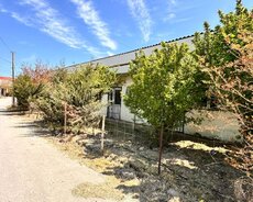 Xəzər r., Buzovna q.