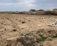 Sabunçu r., Nardaran q.