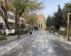 Yasamal r., Elmlər Akademiyası m.