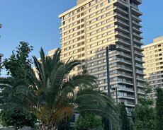 Xətai r., Xətai m.