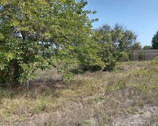 Abşeron r., Novxanı q.