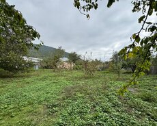 İsmayıllı, Torpaq satılır