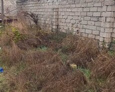 Sabunçu r., Maştağa q.