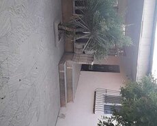 Xırdalan, Kirayə mənzil