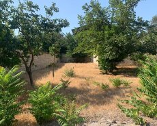 Suraxanı r., Qaraçuxur q.