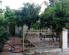 Nərimanov r., Gənclik m.