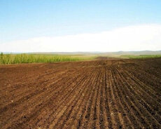 Füzuli, 22 sot torpaq satılır real alıcıya endirmlə