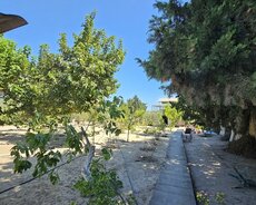 Sabunçu r., Nardaran q.