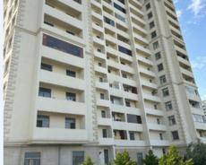 Yasamal r., Elmlər Akademiyası m.