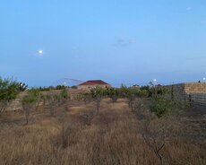 Sabunçu r., Bilgəh q.