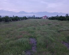 Qəbələ, Nic qesebesi