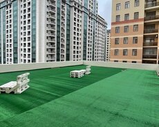 Yasamal r., Elmlər Akademiyası m.