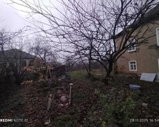 Quba, Heyetevi çıxarış-kupçalı