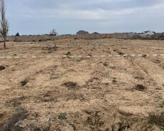 Sabunçu r., Nardaran q.