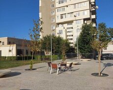 Yasamal r., Nizami m.