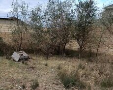 Sumqayıt, Corat bağları torpaq sahəsi