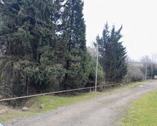 Lənkəran, Torpaq satilir