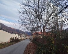 Qəbələ, 3 və ya 6 sot