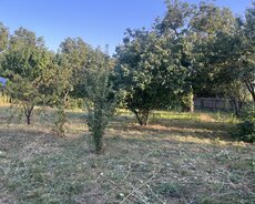 İsmayıllı, İsmayıllı rayonu