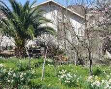 Binəqədi r., Avtovağzal m.