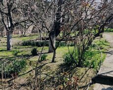 Binəqədi r., Avtovağzal m.