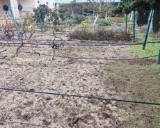 Sabunçu r., Bilgəh q.