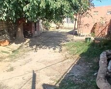 Sabunçu r., Zabrat q.