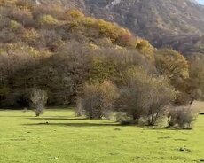 Oğuz, Oğuzda Torpaq