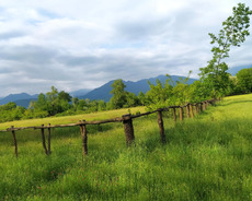 Qəbələ, Böyük sahəsi olan torpaq satışı