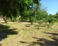 Abşeron r., Ceyranbatan q.