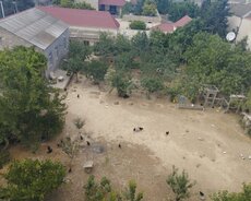 Xəzər r., Mərdəkan q.