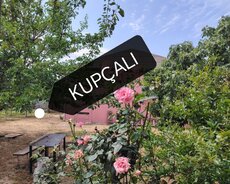 Abşeron r., Saray q.