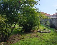 Sabunçu r., Pirşağı q.