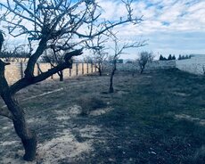 Abşeron r., Masazır q.